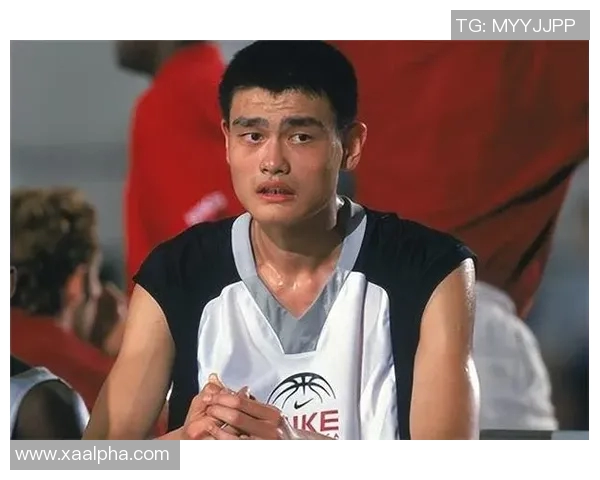 姚明蓝号的传奇之旅:从篮球巨星到文化符号的蜕变与影响