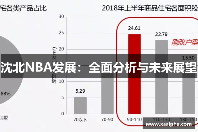 沈北NBA发展：全面分析与未来展望